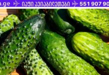 ეს ბოსტნეული სამწუხაროდ ერთ-ერთი ყველაზე დაუფასებელია და ბევრმა არ იცის მისი სარგებლის შესახებ!