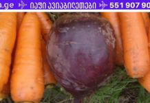 5 ინგრედიენტისგან დამზადებული ძლიერი სასმელი მყისიერად გაასუფთავებს ნაწლავებს! ძალიან ეფექტური ხალხური სამკურნალო მეთოდი!