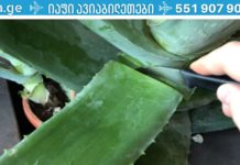 ექიმმა გააზიარა წამლის რეცეპტი, რომელიც გადაჭრის მხედველობის პრობლემას! mxedvelobis agdgena