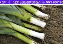 დაემშვიდობეთ დიაბეტს წამლების გარეშე, მხოლოდ ერთი მცენარით! prasi diabetistvis