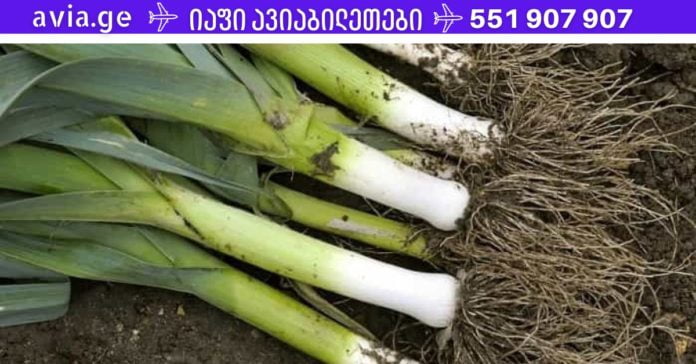 prasi diabetistvis