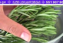 მეცნიერებმა აღმოაჩინეს ბალახი, რომელიც ებრძვის დემენციას და აძლიერებს მეხსიერებას 75%-ით! როზმარინი