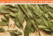 დაფნის ფოთოლი ზურგის ტკივილის საწინააღმდეგოდ! მალამოსა და ნაყენის რეცეპტი!