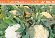 ვიტამინი B9 / ფოლიუმის მჟავა – ჩვენი კარგი განწყობისა და კეთილდღეობის გარანტი!
