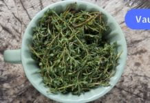 ბუნების ფასდაუდებელი საჩუქარი: ბალახი, რომელიც კურნავს ასობით დაავადებას!