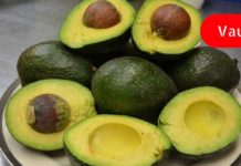 ამ პროდუქტმა ჩაანაცვლა ხორცის, თევზისა და სალათების სასარგებლო თვისებები და კიდევ უფრო მეტი სარგებელი მოუტანა ორგანიზმს!