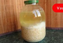 შვრიის ელექსირი: ყველაზე მძიმედ დაავადებულ პაციენტსაც კი ფეხზე დააყენებს! იცოდით ამის შესახებ?!