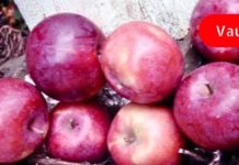 ჯანსაღი საკვების, რომლებიც მავნეა ჯანმრთელობისთვის, თუ არასწორ დროს მიირთმევთ!