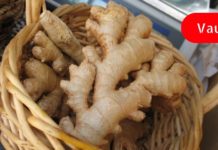 წარმოუდგენელიa რა დაემართება თქვენს ორგანიზმს, თუ ჯანჯაფილს 1 თვის განმავლობაში ყოველდღე მიირთმევთ!