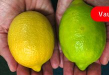 10 საკვები შარდმჟავას კრისტალების დასაშლელად და პოდაგრის მოსაშორებლად! ასევე მოგაშორებთ თირკმლის ქვების და სახსრების ტკივილს!