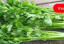 როგორ შეიძლება გამოკეთდეს თქვენი ორგანიზმი, თუ ერთი კვირის განმავლობაში მიირთმევთ ნიახურს?!