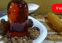 პროპოლისი კურნავს ნაწლავებსა და კუჭს: მარტივი, მაგრამ ეფექტური სამკურნალო საშუალება!