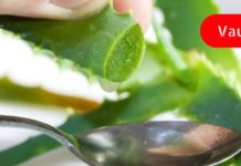 ჩვენ მკურნალობენ ალოეს წვენით! მისი უპირატესობა ის არის, რომ იგი გამოიყენება როგორც შიდა, ასევე გარე გამოყენებისთვის!