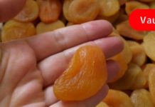 რა უნდა გააკექოთ პირველ რიგში, აუცილებლად, თუ გაწუხებთ არითმია?!