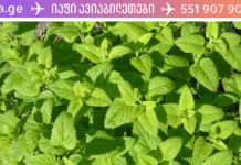 ბარამბოს, გვირილისა და სელის თესლის ნაყენი გიხსნით ნაწლავის კოლიკისგან! ის ეფექტურად და უვნებლად უწყობს ხელს კოლიკის მოხსნას!