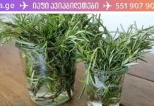 ყველაზე ძლიერი ბალახი ცერებრალური მიმოქცევისთვის, გულის, სისხლძარღვების, თირკმელზედა ჯირკვლების, სახსრების, კანისა და თმისთვის!