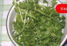 გაქვთ მაღალი წნევა და ხმაურის შეგრძნება თავში? ჩვენ აღვადგენთ სისხლძარღვების ელასტიურობას აბების გარეშე!