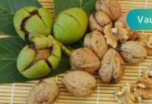 თავის ტვინის სისხლძარღვების გაწმენდა ხალხური საშუალებებით: 5 საუკეთესო და ეფექტური რეცეპტი!