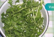 ხმაური თავის არეში და მაღალი წნევა, პრობლემები თირკმელებში და შარდის ბუშტში – ყველა ამ პრობლემას ეს ბალახი მოაგვარებს! მას აქვს ძლიერი სამკურნალო ძალა!