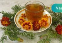 ზაფრანას ნახარში კურნავს 100 დაავადებას! ეს უბრალო ყვავილები ყველგან ყვავის და მათი სარგებელი შეუფასებელია!