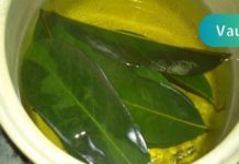 პანკრეასის ეფექტური გაწმენდა დაფნის ფოთლის დახმარებით! იცოდით ეს მარტივი მეთოდი?!