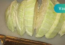 თეთრი კომბოსტო – ახალგაზრდობის, ჰარმონიისა და დღეგრძელობის პროდუქტი!